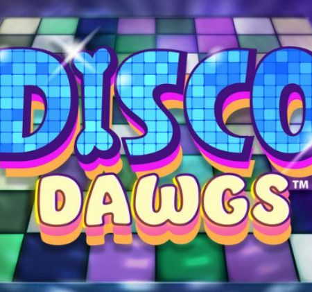 Danzano i Cani Della SG Digital! “Semicit.” Ecco la Disco Dawgs!